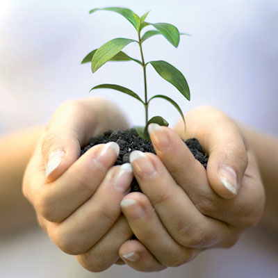 Abbiamo a cuore l’ambiente